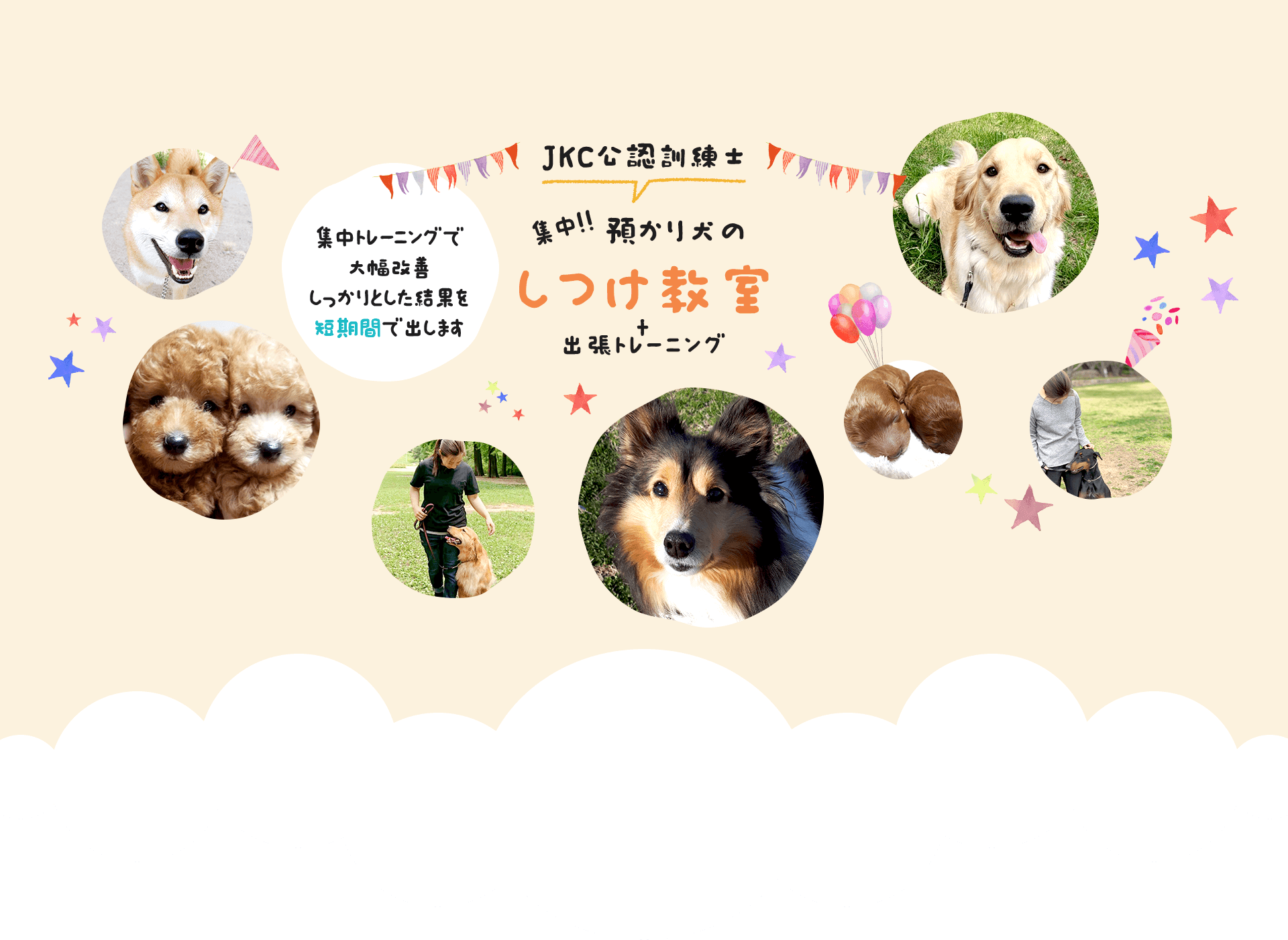 JKC公認訓練士預かり犬の集中!!しつけ教室+出張トレーニング集中トレーニングで大幅改善しっかりとした結果を短期間で出します